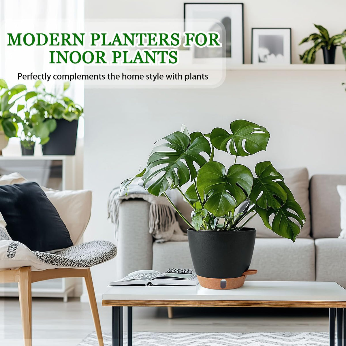 Fielda 8-inch pot demonstrates self-watering in action with moisture wicking.