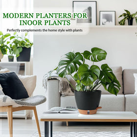 Fielda 8-inch pot demonstrates self-watering in action with moisture wicking.