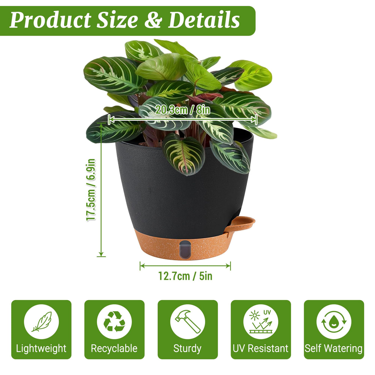 Fielda 8-inch pot with water level indicator helps prevent overwatering.