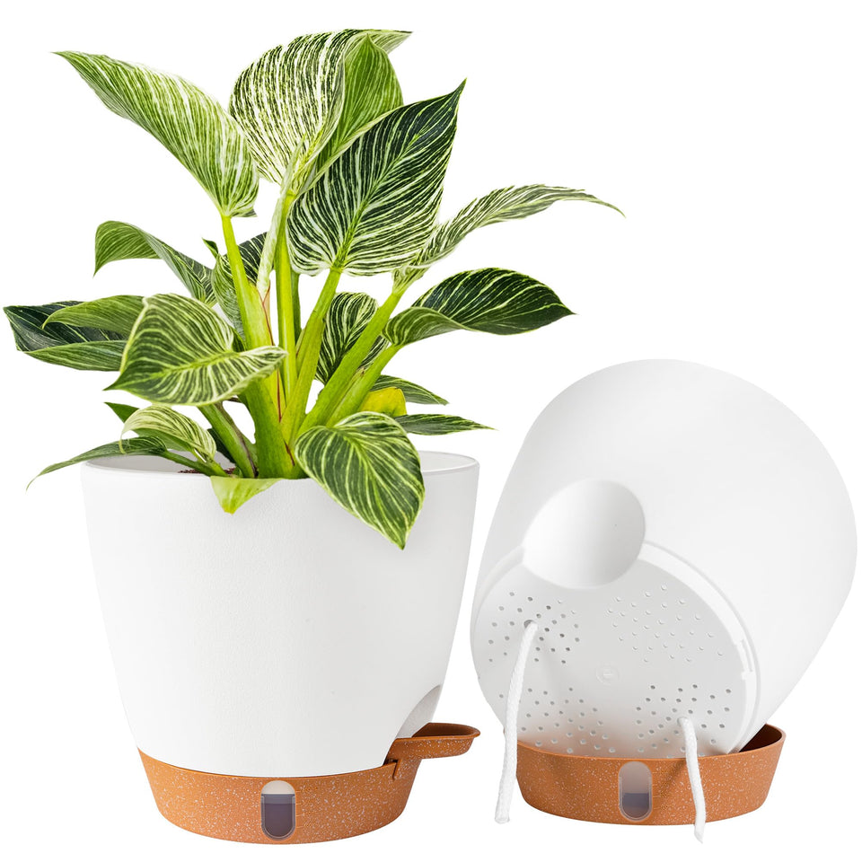 Fielda 8-inch self-watering pot front view for low-maintenance indoor gardening.