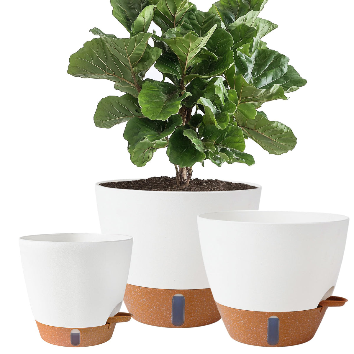 Fielda 8-inch self-watering pot with water level indicator showing hydration status