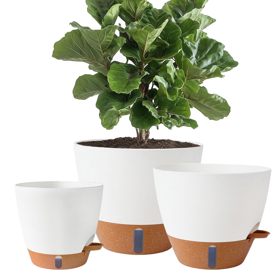 Fielda 8-inch self-watering pot with water level indicator showing hydration status