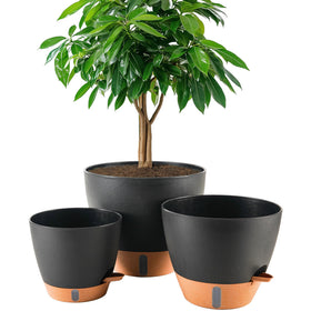 Fielda 8-inch self-watering pot with water level indicator for easy hydration monitoring.