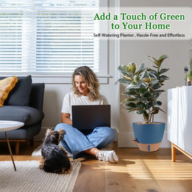 Fielda 8-inch top diameter planter ideal for compact plants and desks