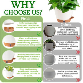 Fielda 8-inch white planter suitable for indoor and outdoor setups.