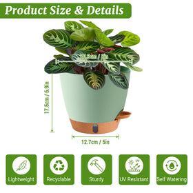Fielda 8-inch pot with detachable saucer tray for easy cleanup.