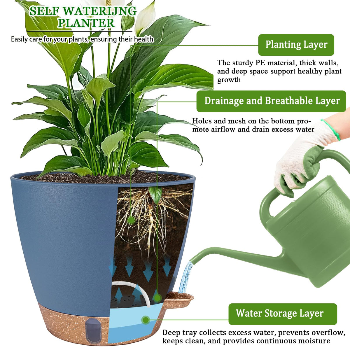 Fielda 8-inch planter with detachable tray simplifies cleaning and watering.