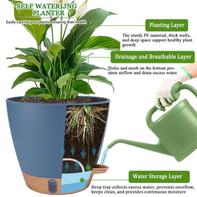 Fielda 8-inch planter with detachable tray simplifies cleaning and watering.