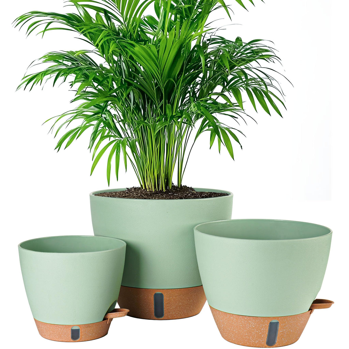 Fielda 8-inch self-watering pot with water level window for easy monitoring