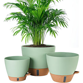Fielda 8-inch self-watering pot with water level window for easy monitoring