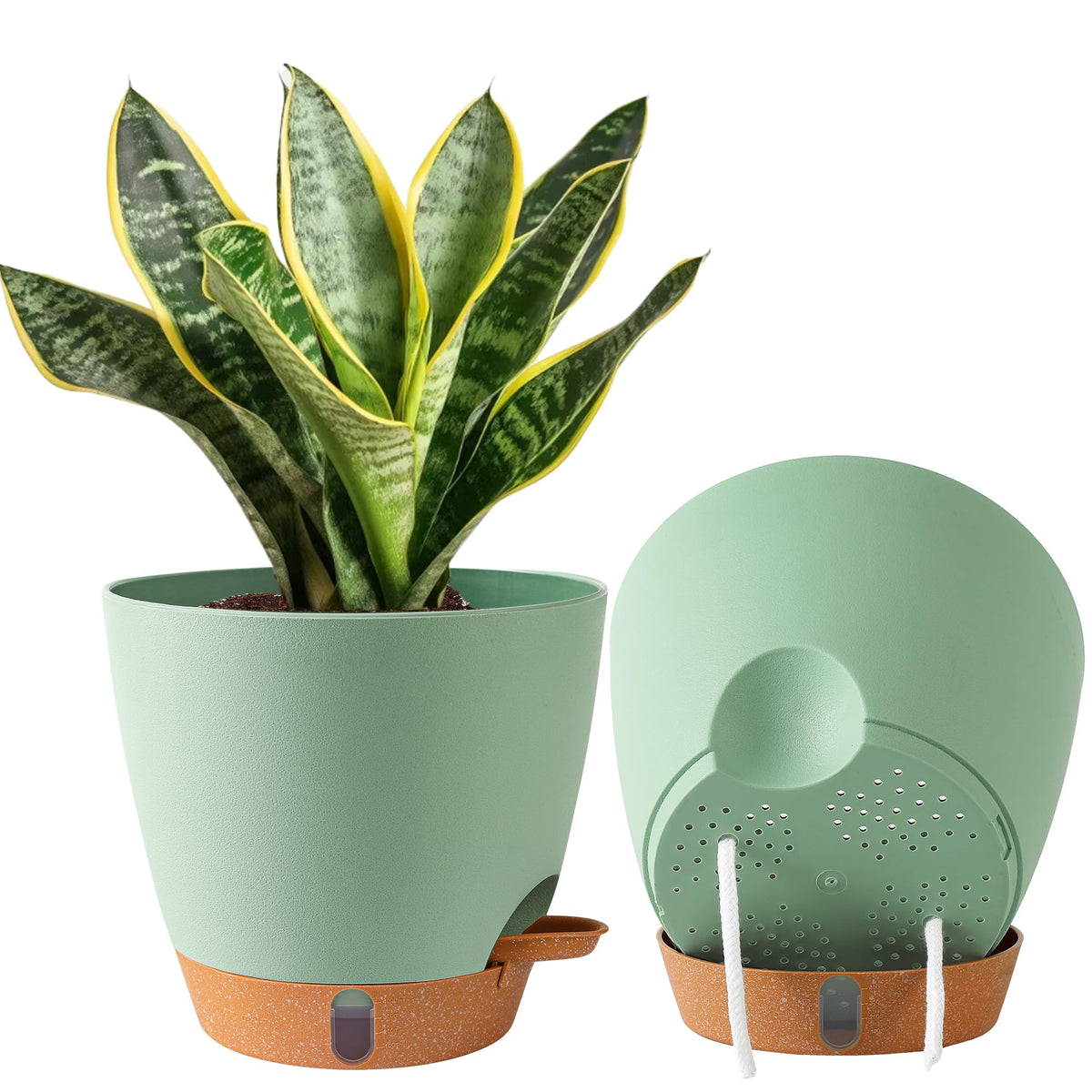 Fielda 8-inch self-watering pot with reservoir for effortless plant care.