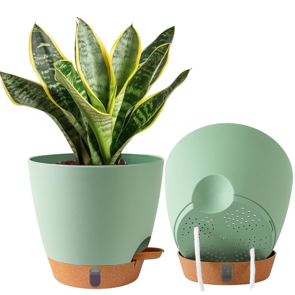 Fielda 8-inch self-watering pot with reservoir for effortless plant care.