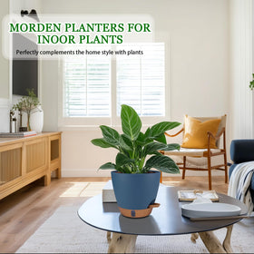Fielda 8-inch pot shows clear water level window for easy moisture monitoring.