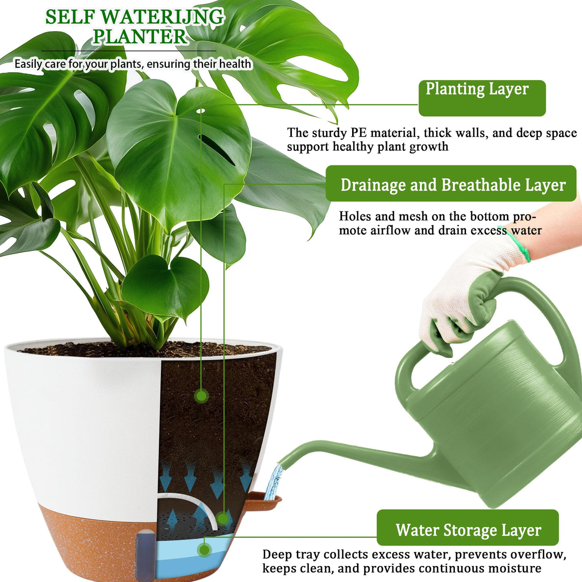 Fielda cotton wick system delivering water to roots for steady hydration
