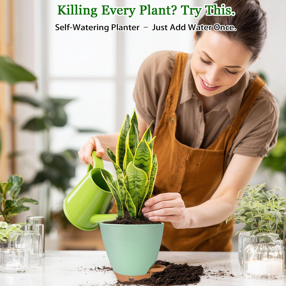 Fielda cohesive five-piece green set creates stylish plant displays.