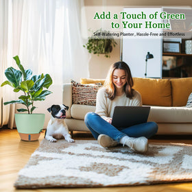Fielda detachable saucer tray simplifies watering and promotes healthy root airflow