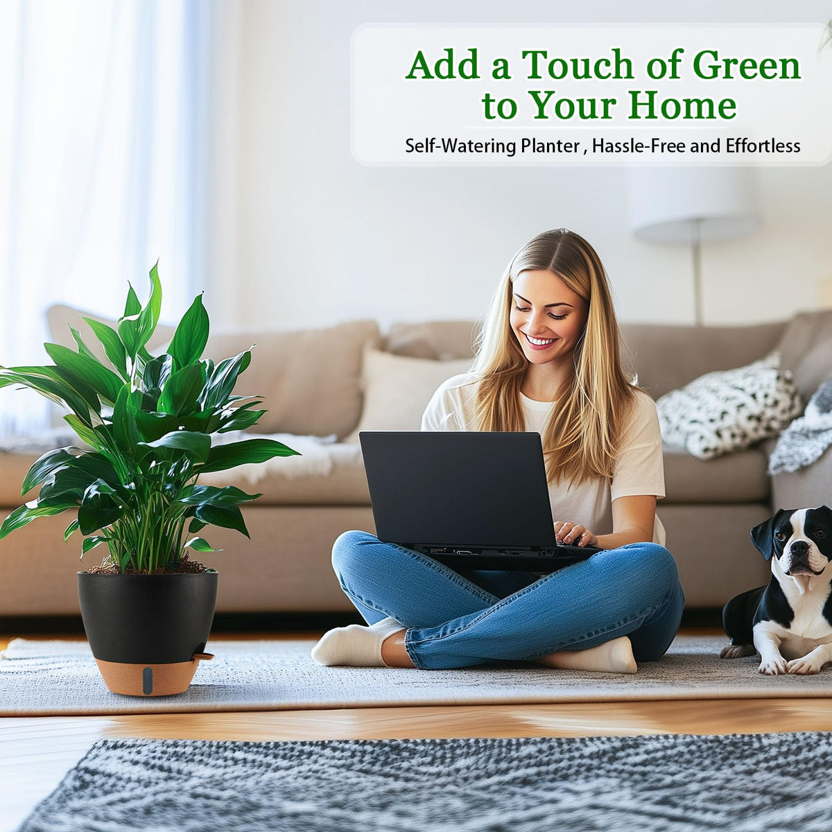 Fielda detachable saucer tray enables easy cleaning and watering control.