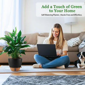 Fielda detachable saucer tray enables easy cleaning and watering control.
