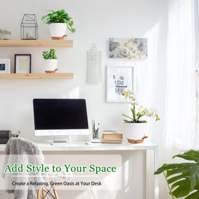 Fielda five-size cohesive set for stylish grouped displays.