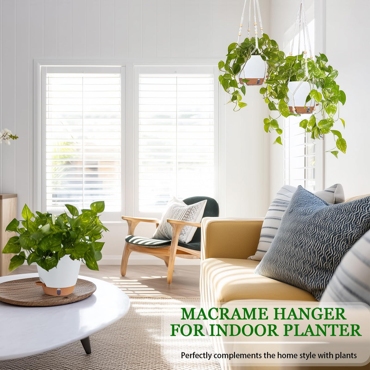 Fielda 8-inch basket fits popular houseplants like pothos and spider plants.