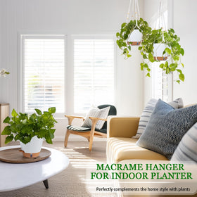 Fielda 8-inch basket fits popular houseplants like pothos and spider plants.