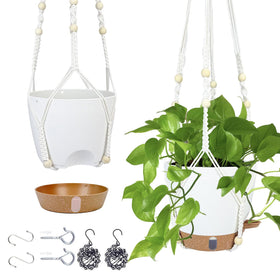 Fielda hanging planter water window shows moisture at a glance for healthier indoor plants.