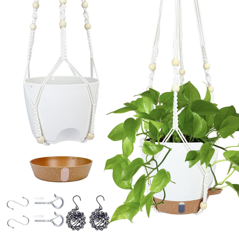 Fielda hanging planter water window shows moisture at a glance for healthier indoor plants.