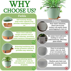 Fielda green indoor-outdoor pot ideal for balconies and living rooms.