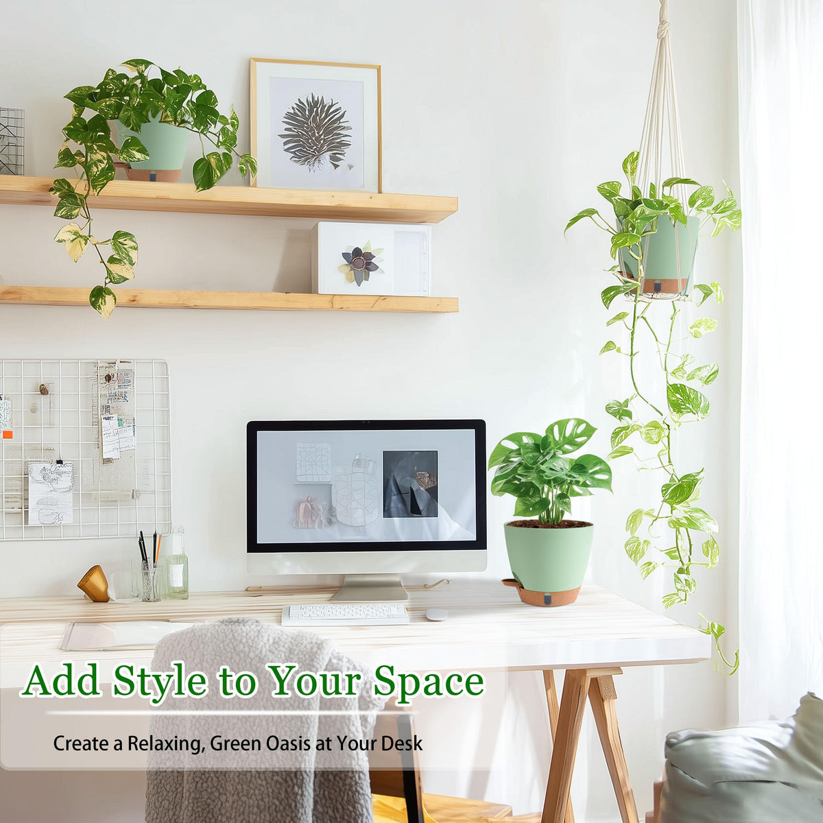 Fielda removable drainage saucer pot protects floors from leaks.