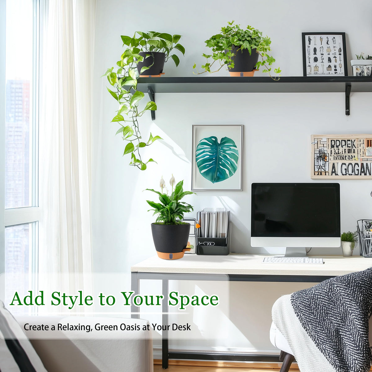 Fielda removable saucer keeps floors safe during indoor plant care