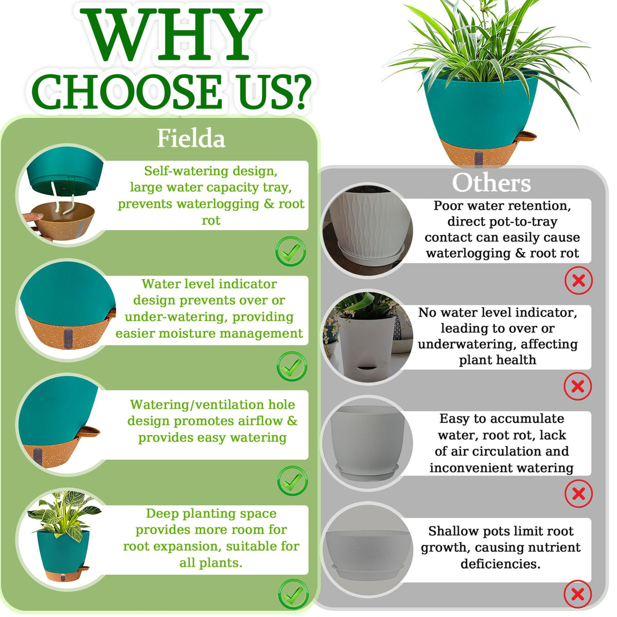 Fielda root wick system delivering steady hydration to plants