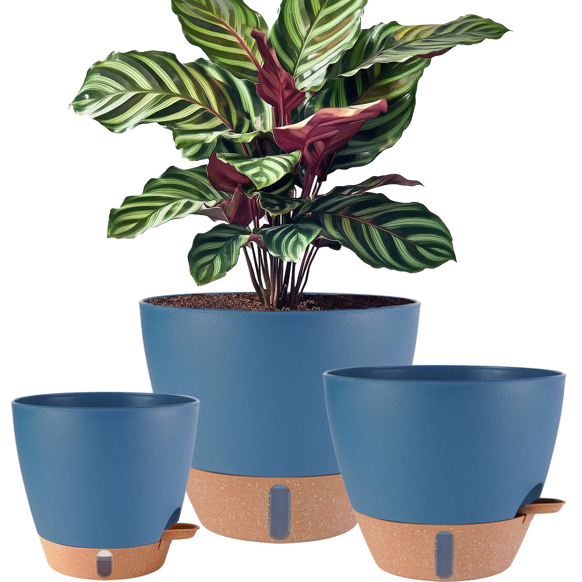 Fielda self-watering 12-inch planter helps maintain soil moisture with minimal effort