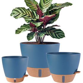 Fielda self-watering 12-inch planter helps maintain soil moisture with minimal effort