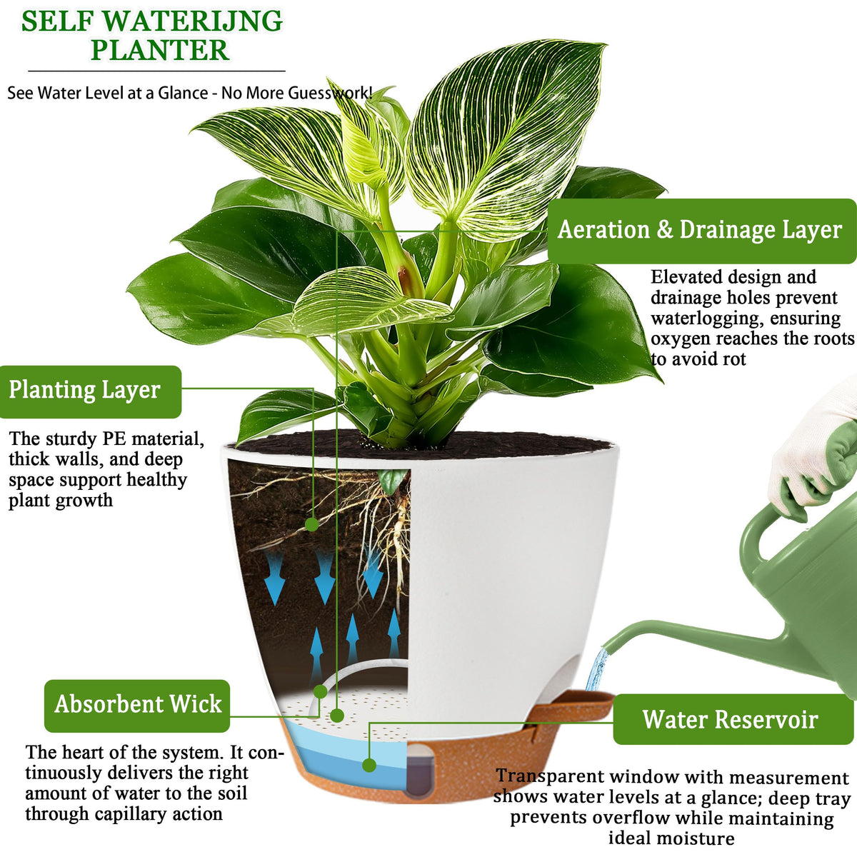 Fielda self-watering 5-inch pot ideal for small spaces or desks.