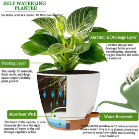 Fielda self-watering 5-inch pot ideal for small spaces or desks.