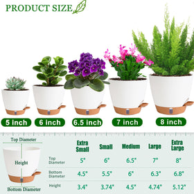 Fielda self-watering 7-inch pot with drainage holes for healthy roots.