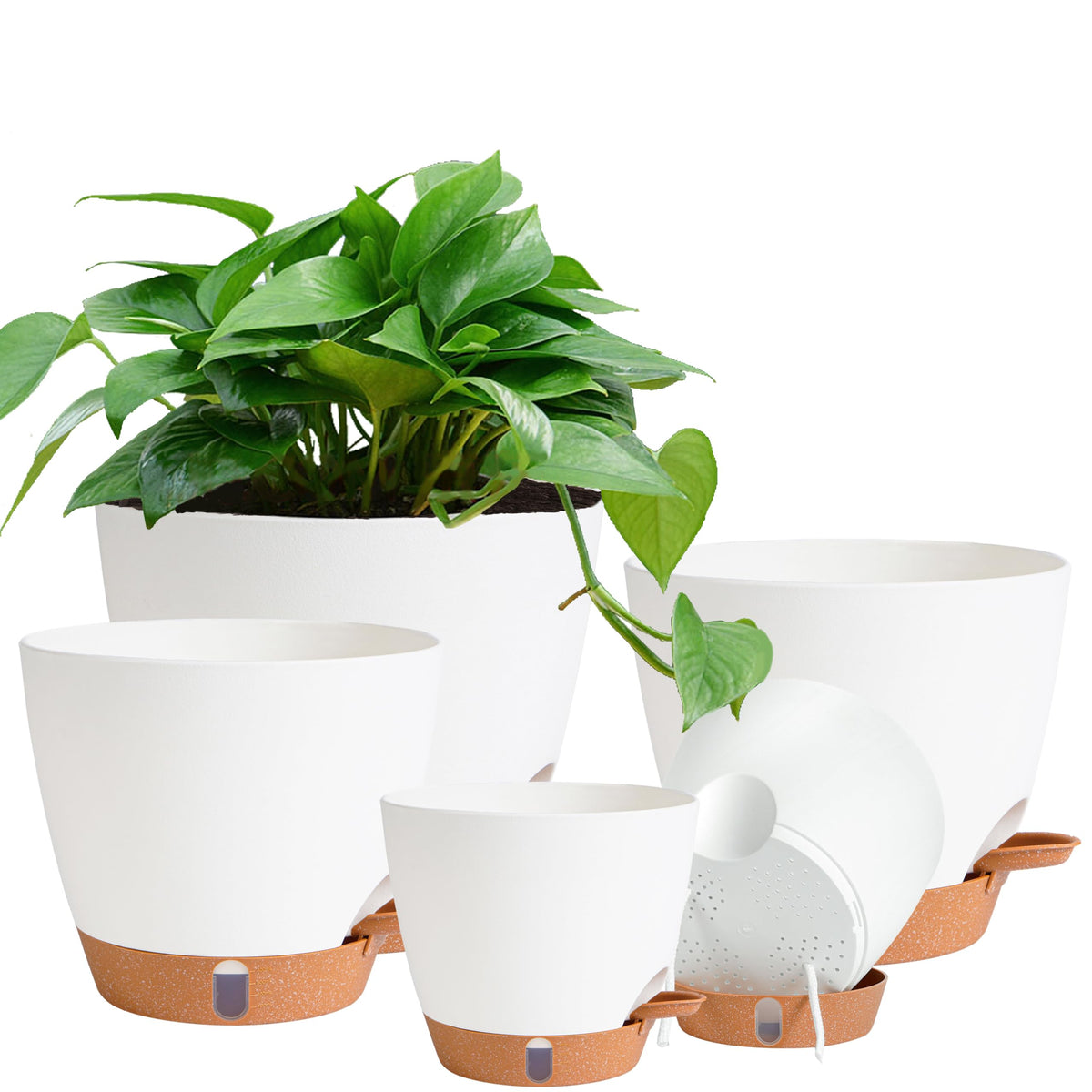 Fielda self-watering 8-inch pot with water-level indicator for easy moisture management.