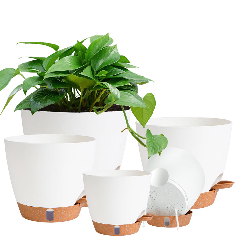 Fielda self-watering 8-inch pot with water-level indicator for easy moisture management.