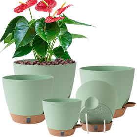 Fielda self-watering 8-inch pot with wick system for effortless plant hydration.