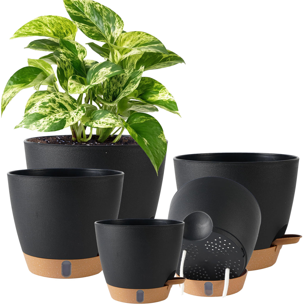 Fielda self-watering 8-inch planter with hydration wicks for steady moisture