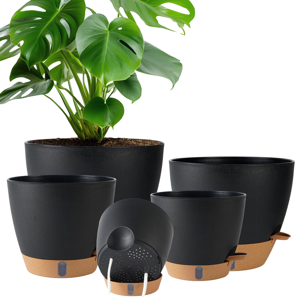 Fielda self-watering pot 10-inch with water level window helps monitor moisture at a glance.