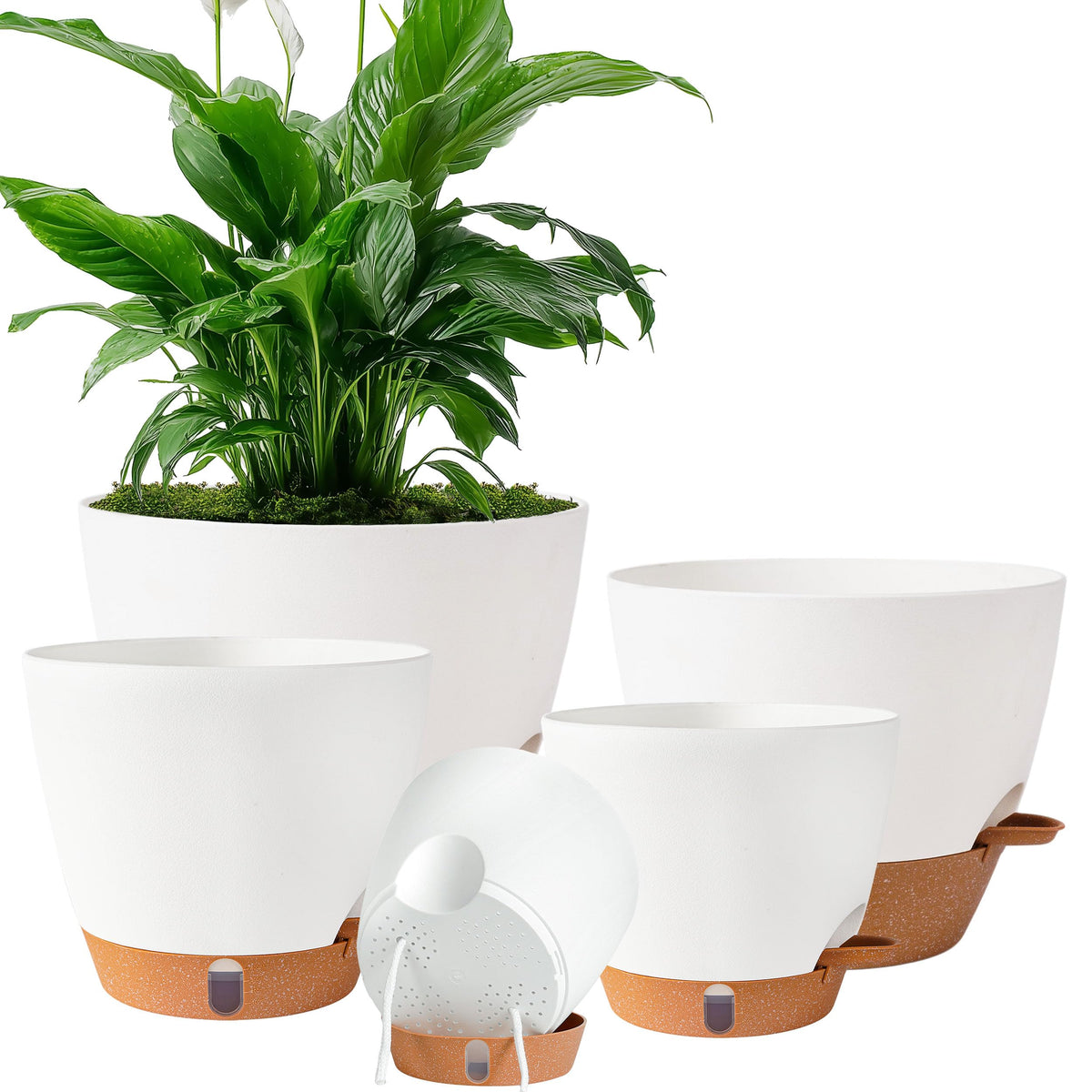 Fielda self-watering pot 10-inch white with water level window for easy moisture control.