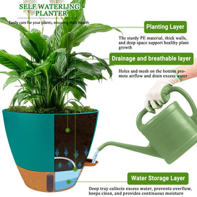 Fielda 12 inch self-watering pot with water level window for large plants