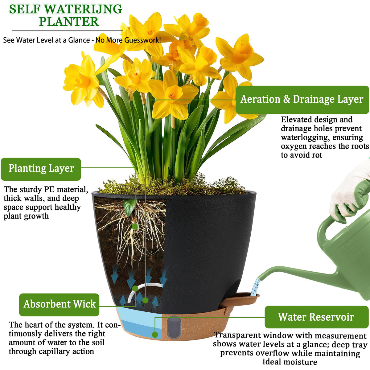 Fielda 6-5-inch durable plastic pot offers lightweight reliability for busy homes.