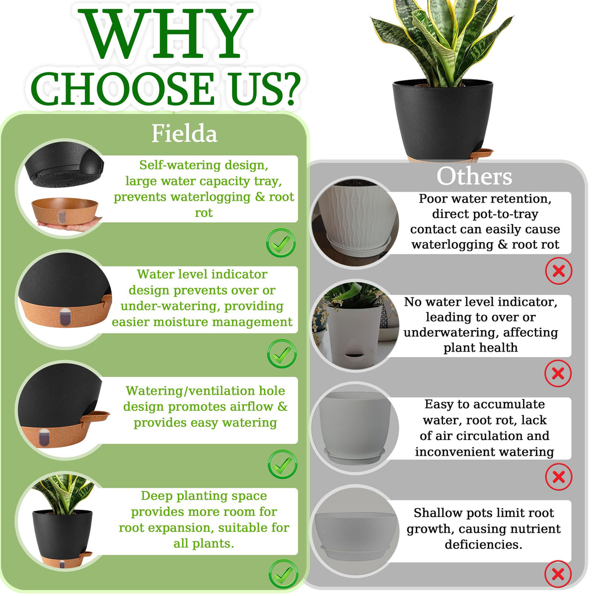Fielda 6-5-inch pot promotes healthy root growth with optimal airflow and drain holes.