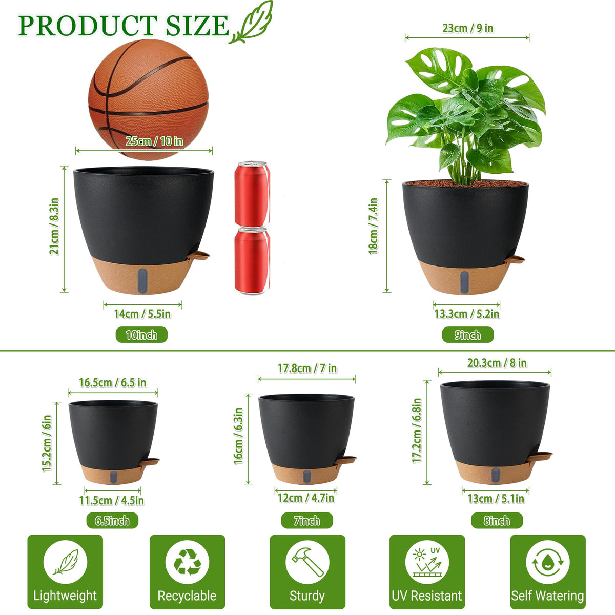 Fielda 8-inch pot shows drainage holes promoting healthy root airflow.