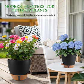 Fielda 8-inch pot designed for easy maintenance and steady moisture for thriving greenery.