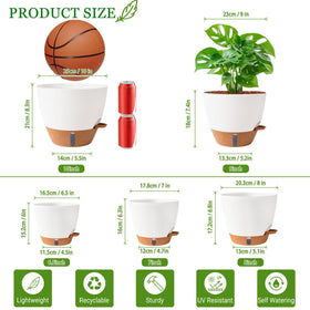 Fielda self-watering pot 8-inch white with transparent tray window helps prevent overwatering.