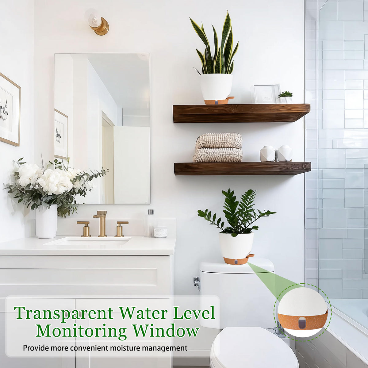 Fielda detachable saucer tray demonstrates easy drainage and root-friendly watering.
