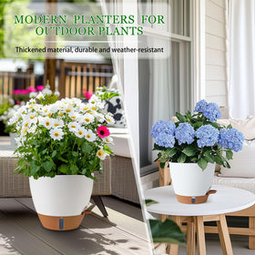 Fielda pot in modern white finish complements indoor décor.